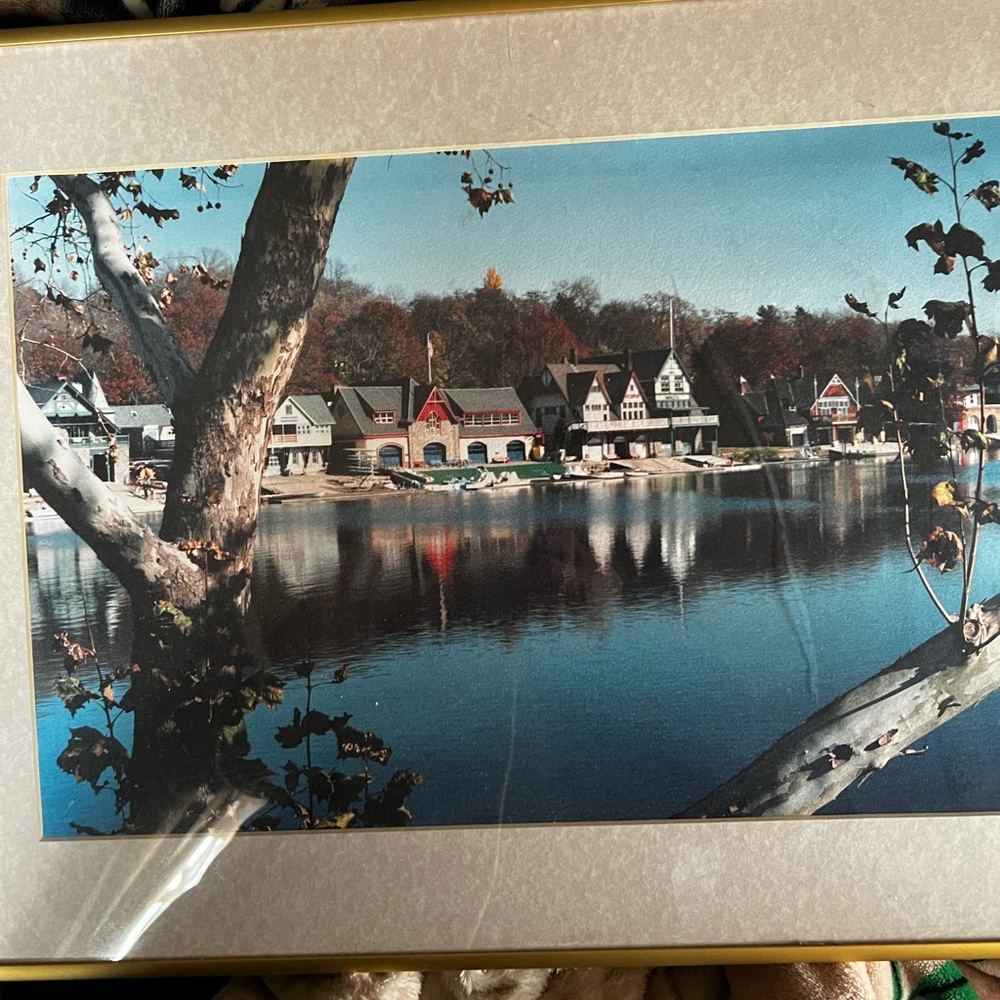 Scenic Lakeside Houses Framed Art
